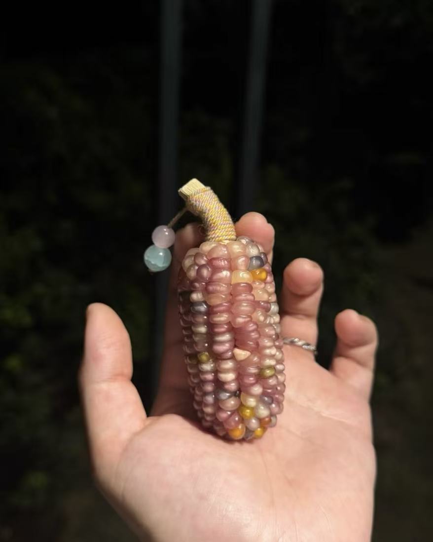 Ornamental corn