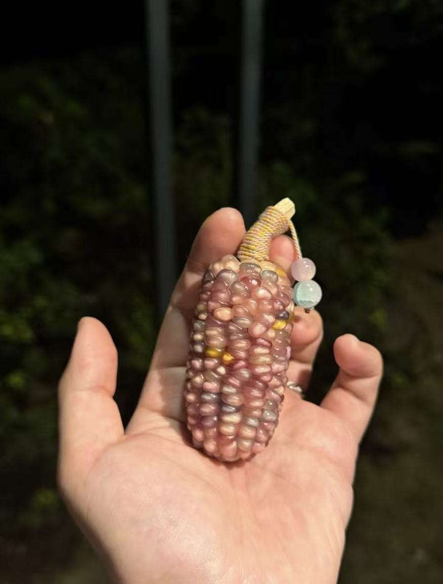 Ornamental corn
