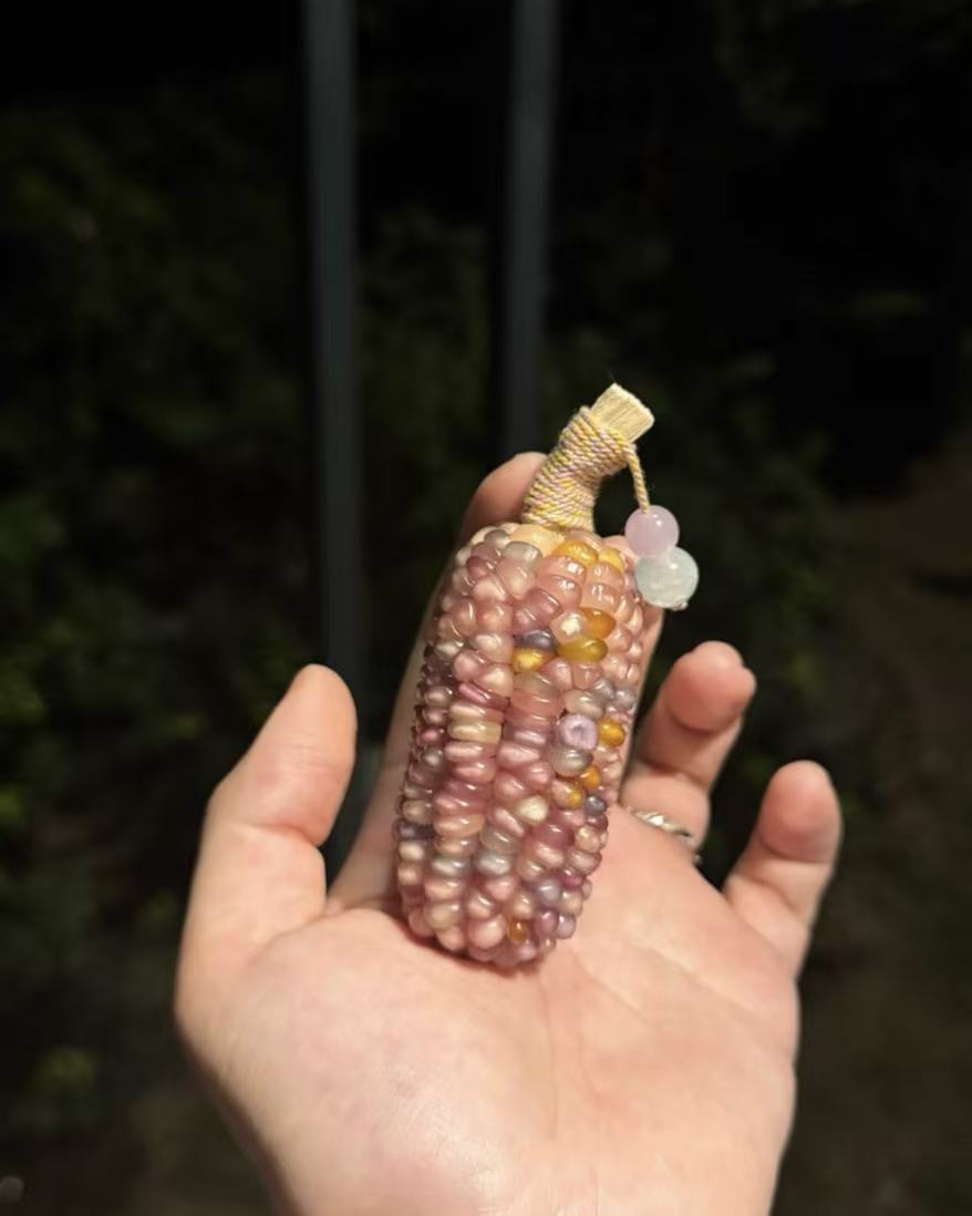 Ornamental corn